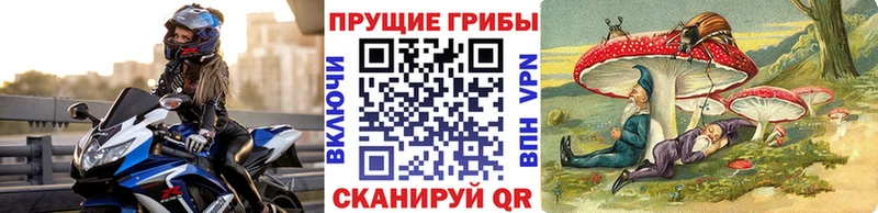 наркотики Остров Галлюциногенные грибы GOLDEN TEACHER